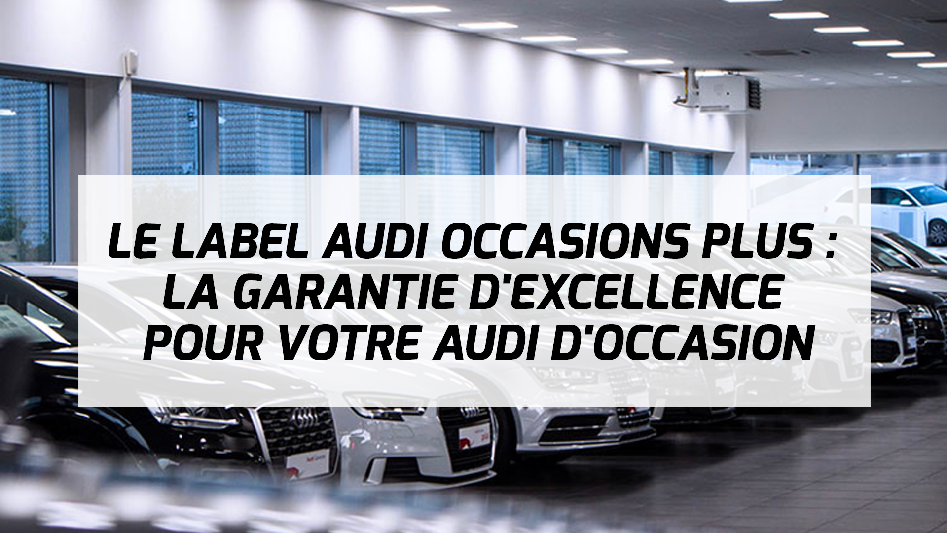 Le Label Audi Occasions Plus La Garantie d